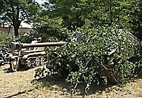 Jagdpanzer 38(t) mit Tarnung